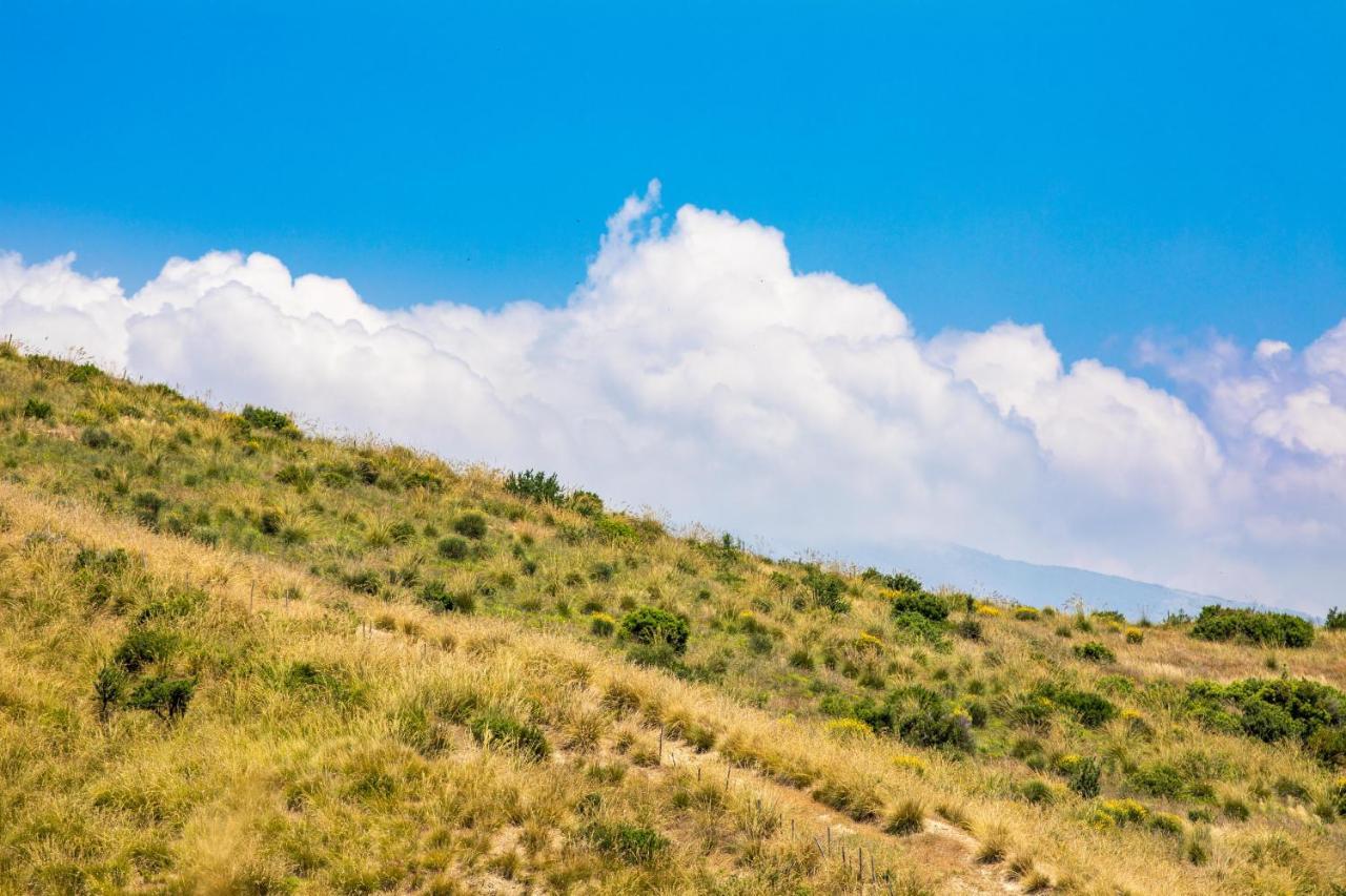 Il Panorama Housing Cilento Apart otel Santa Maria di Castellabate Dış mekan fotoğraf