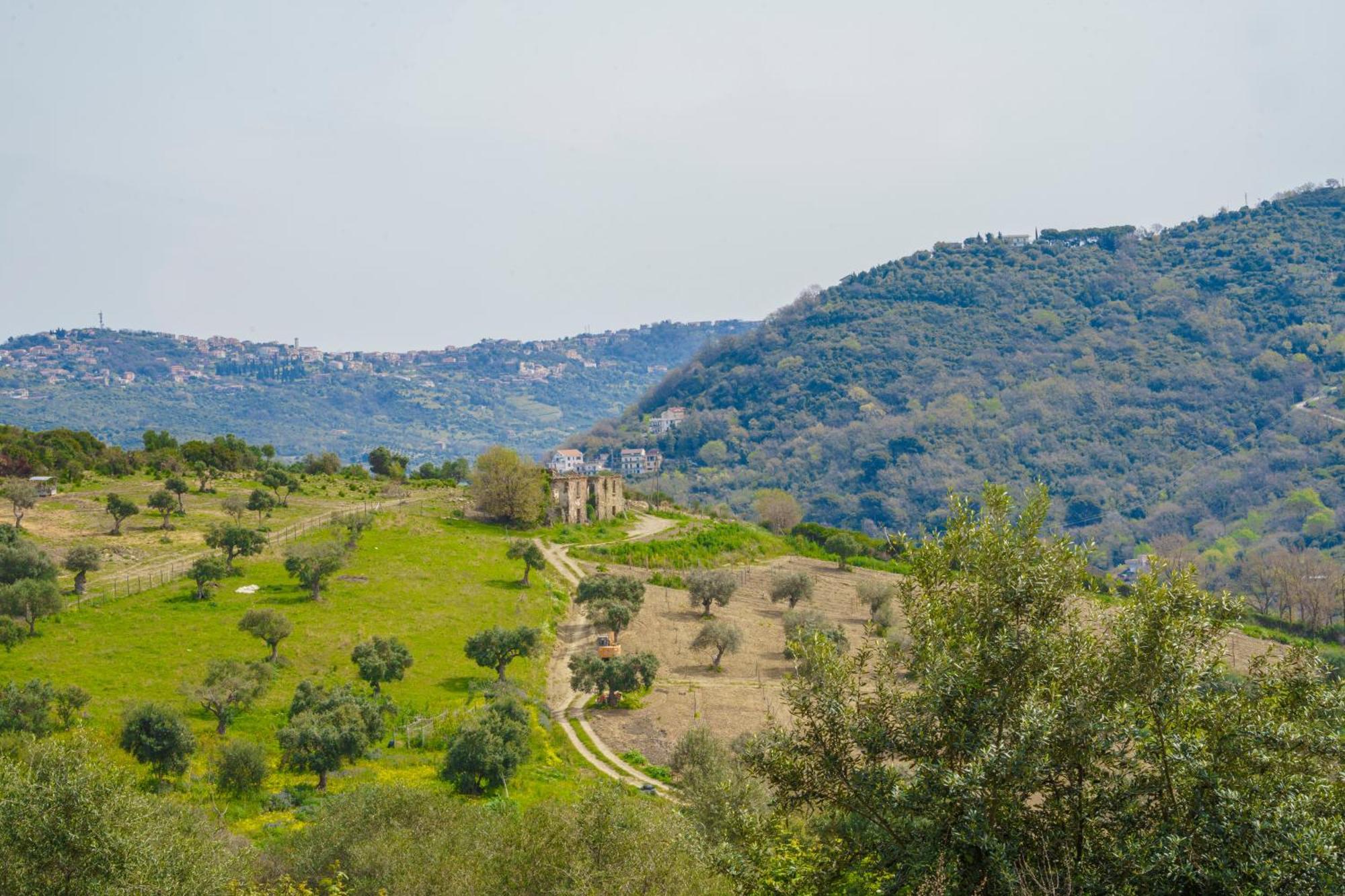 Il Panorama Housing Cilento Apart otel Santa Maria di Castellabate Dış mekan fotoğraf
